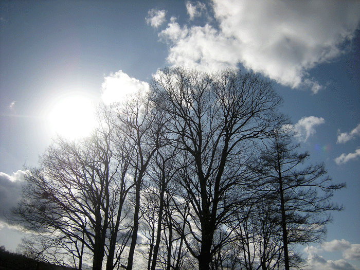 a0001354_2229765.gif