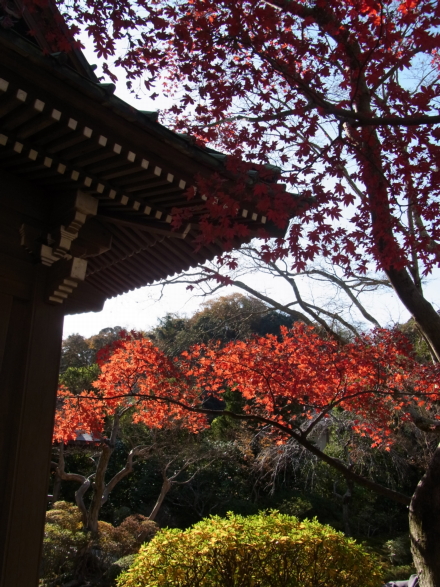 c0224154_18493624.jpg