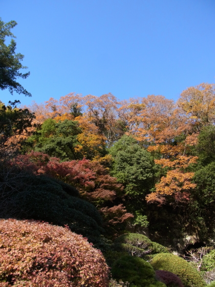 c0224154_18535569.jpg