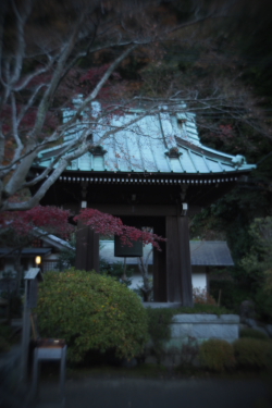 f0214858_2229865.jpg
