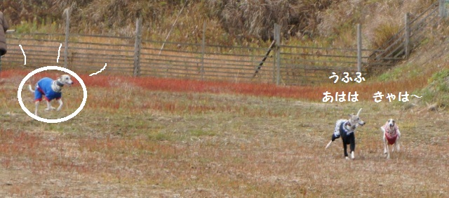 e0223965_20551961.jpg