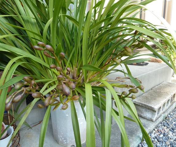 e0278968_22594872.jpg