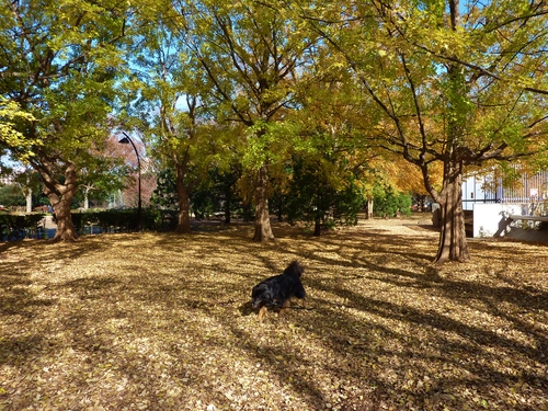 e0207477_1523229.jpg