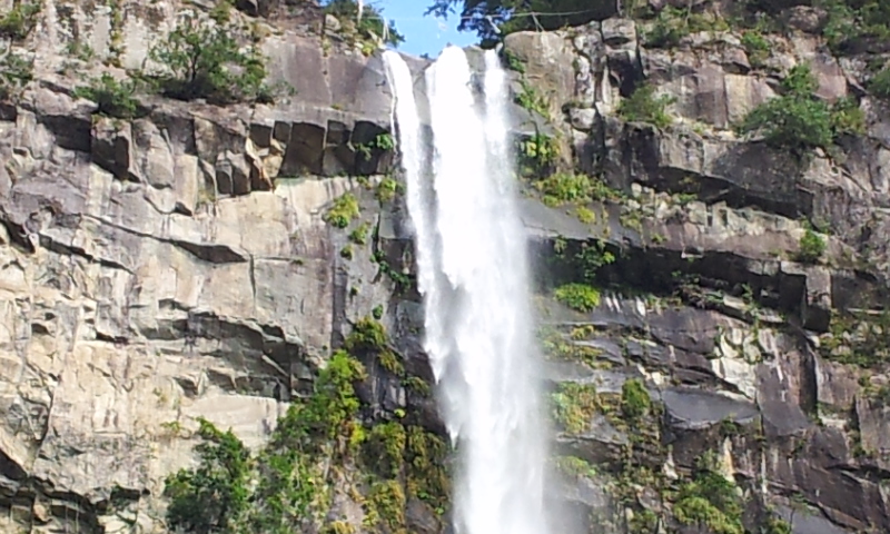 f0054677_941229.jpg
