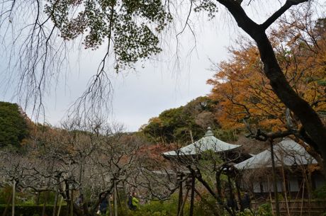 a0228480_22482967.jpg