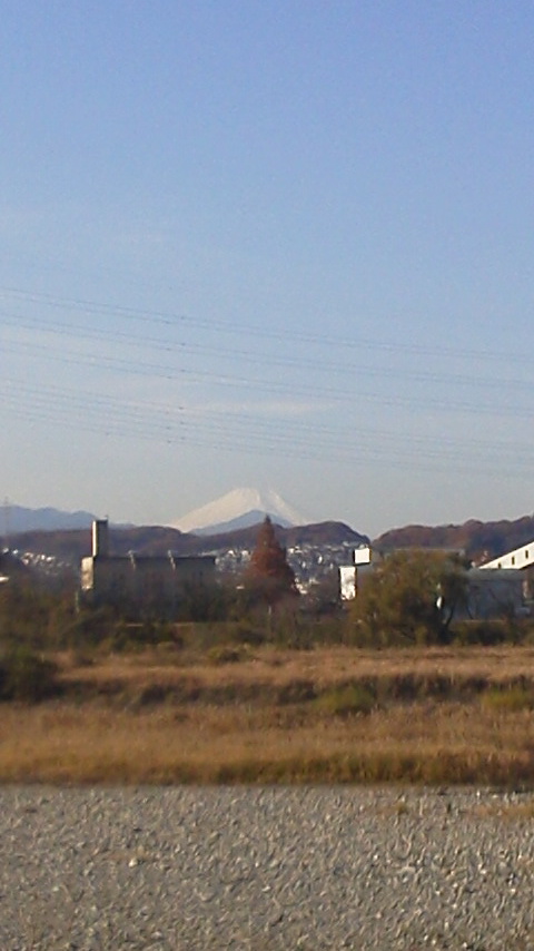 d0034291_1615976.jpg