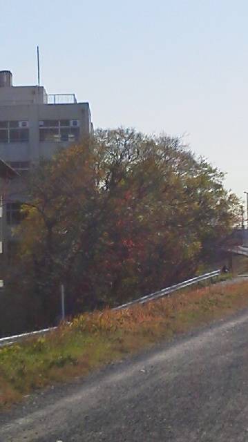 d0034291_162095.jpg