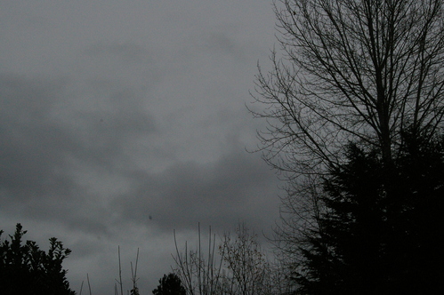 b0283192_10114160.jpg