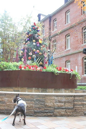 e0229992_11522334.jpg