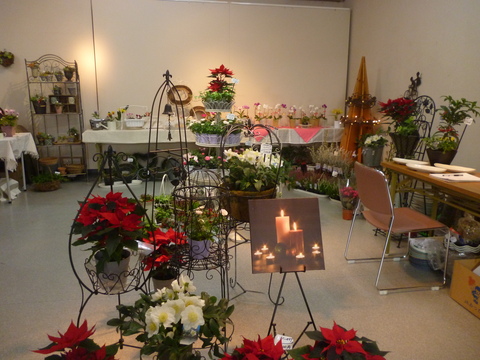 b0222804_0212496.jpg