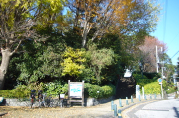 c0243807_2146283.jpg