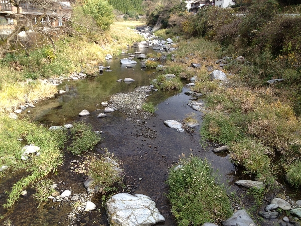 e0002314_21175576.jpg
