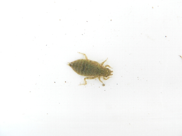 e0002314_212839100.jpg