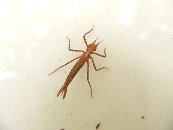 e0002314_21535956.jpg
