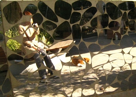 c0084117_2022451.jpg