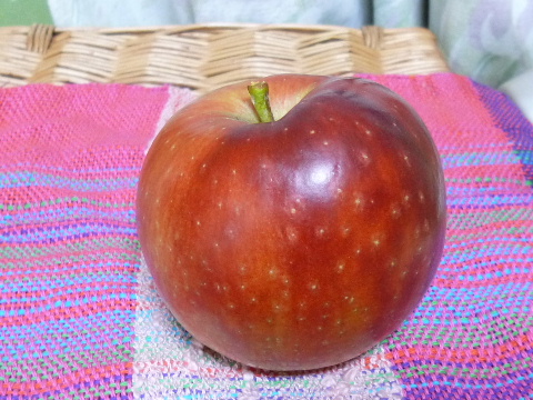 a0157619_2273148.jpg