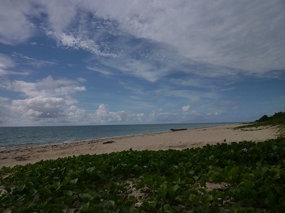 f0031420_1921850.jpg