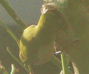 c0204121_2044849.jpg