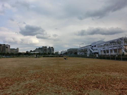 e0179321_21511829.jpg