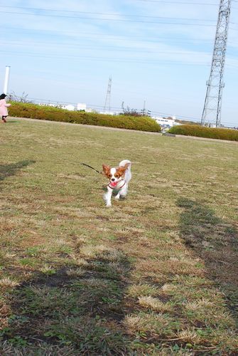 f0214121_920383.jpg