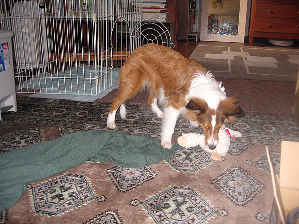 b0066826_15505844.gif
