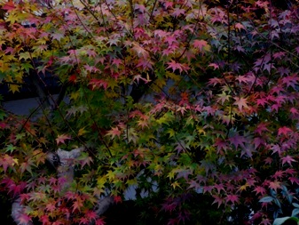 a0098027_19282161.jpg