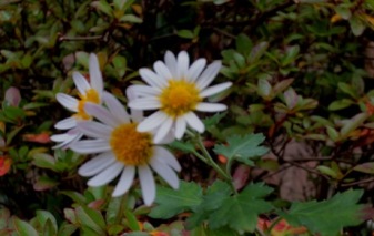 a0098027_1949477.jpg