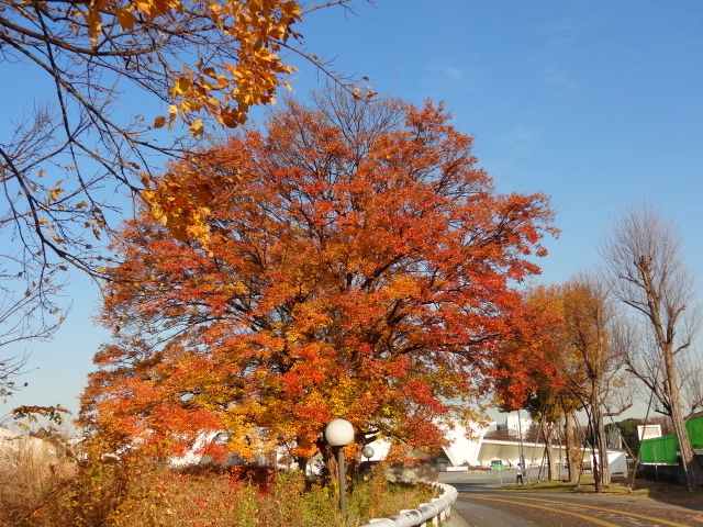 e0016828_1151182.jpg