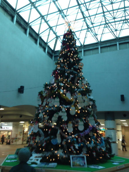 d0005632_2312411.jpg
