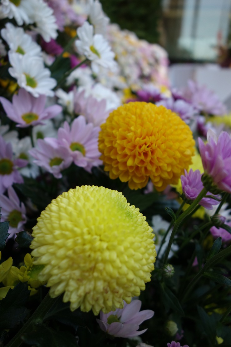 a0287336_22294174.jpg