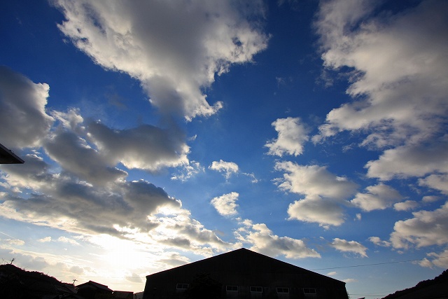 a0242438_1714012.jpg