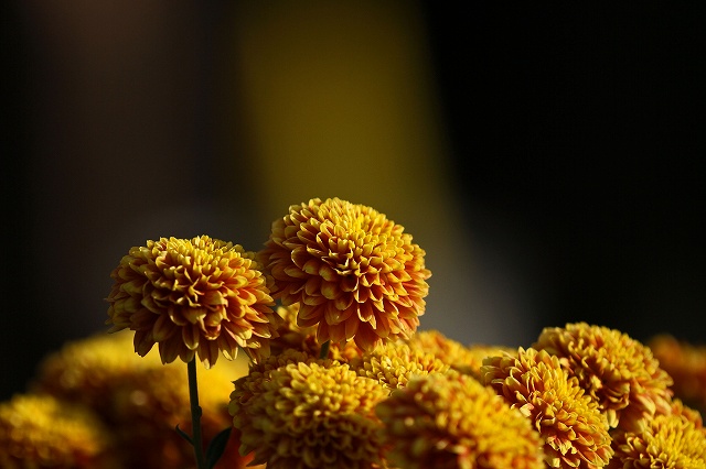 a0242438_17143082.jpg