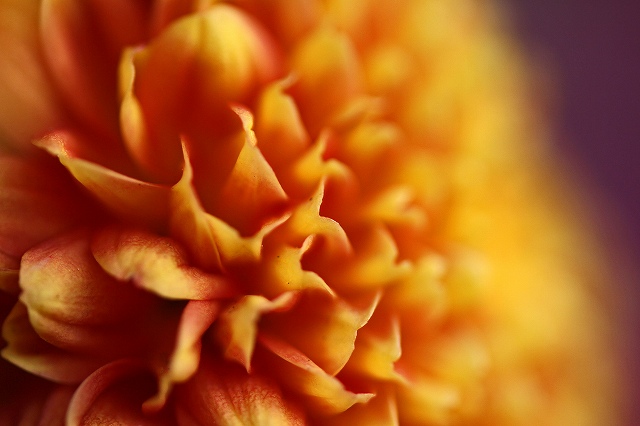 a0242438_17144830.jpg
