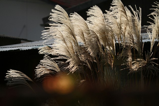 a0242438_17152664.jpg