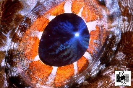 a0150039_1223269.jpg