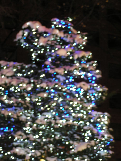 c0254440_1585811.jpg