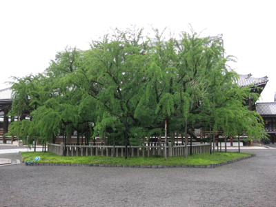 f0141840_112919.jpg