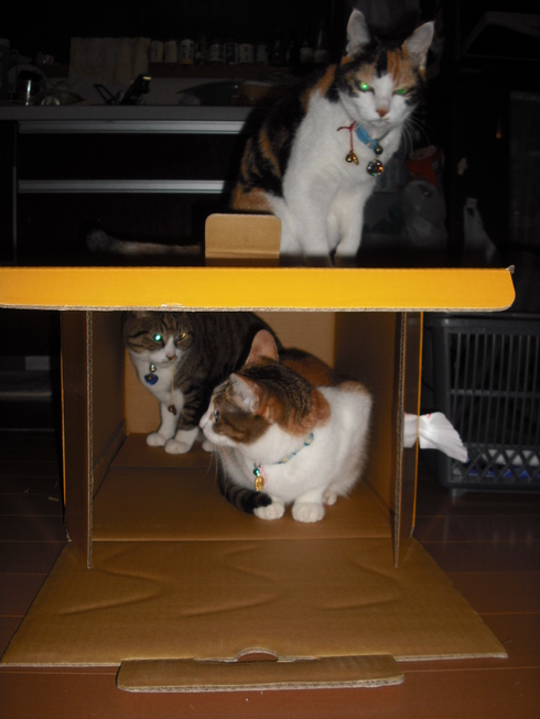 c0194042_21585935.jpg