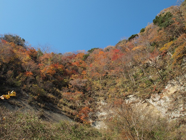 e0272042_2238072.jpg