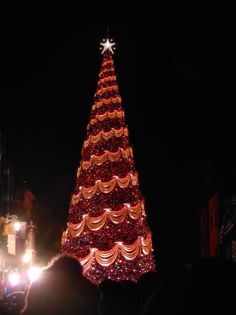 c0122744_1524919.jpg