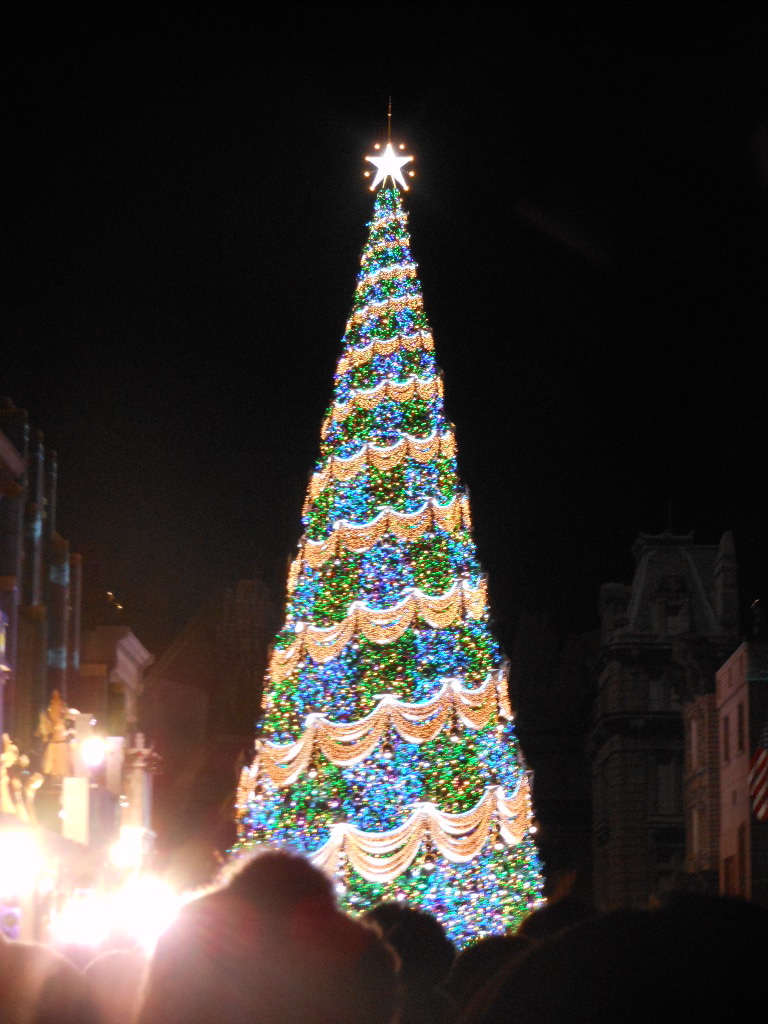 c0122744_1532223.jpg