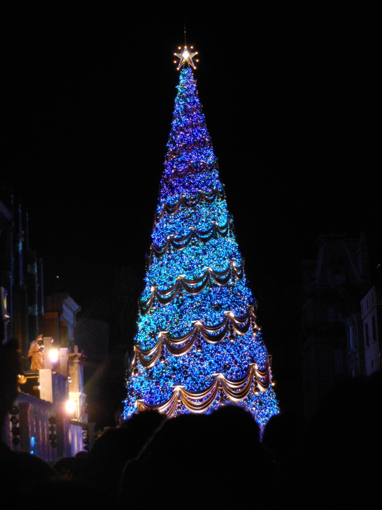 c0122744_1563352.jpg