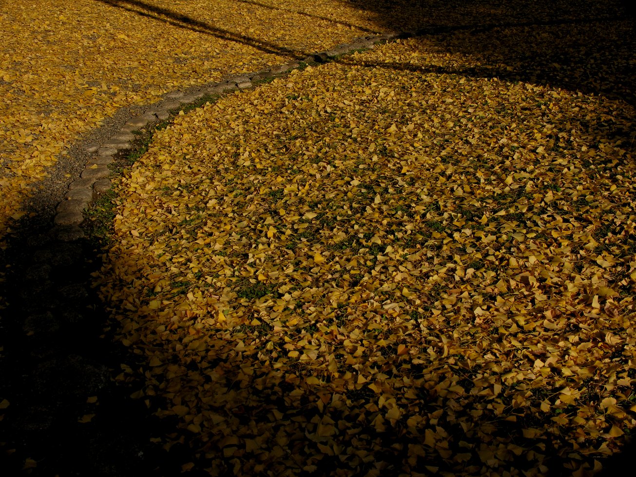 f0178652_16383166.jpg