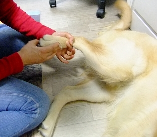 c0097558_026944.jpg