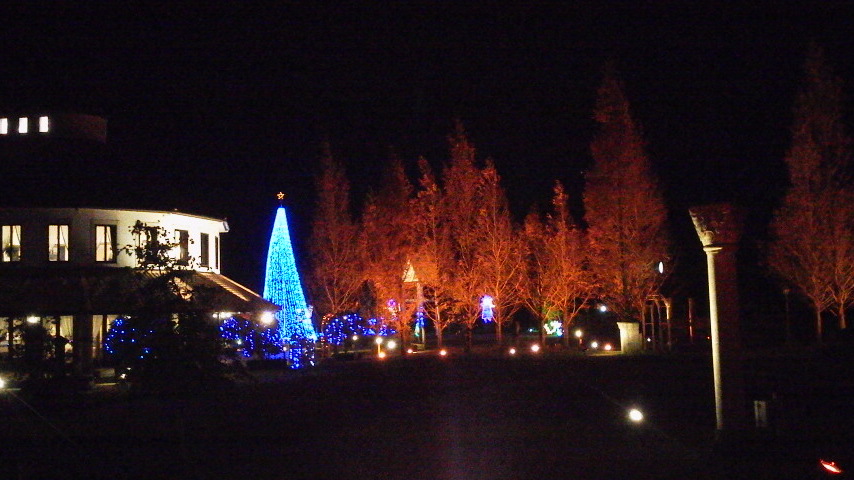 d0000459_23501668.jpg