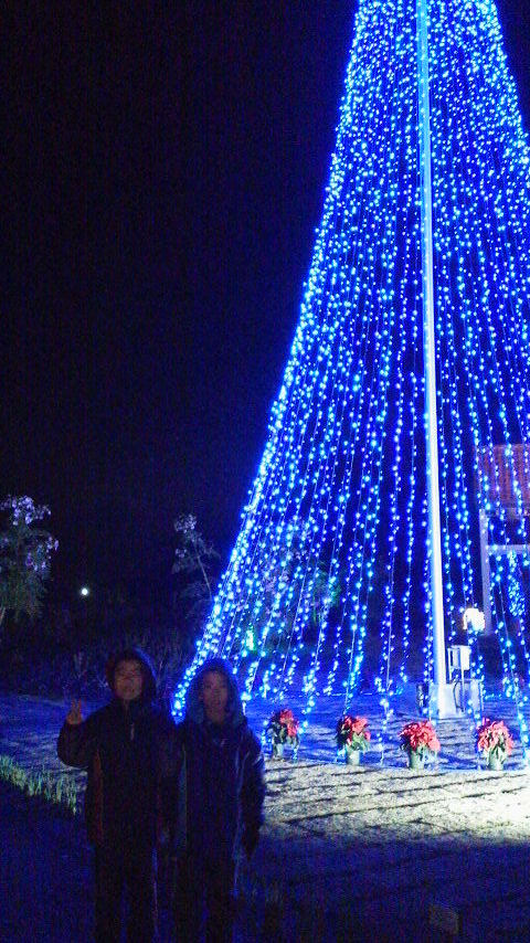 d0000459_23505635.jpg
