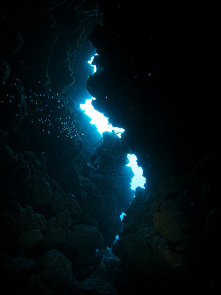 b0062363_1858543.jpg