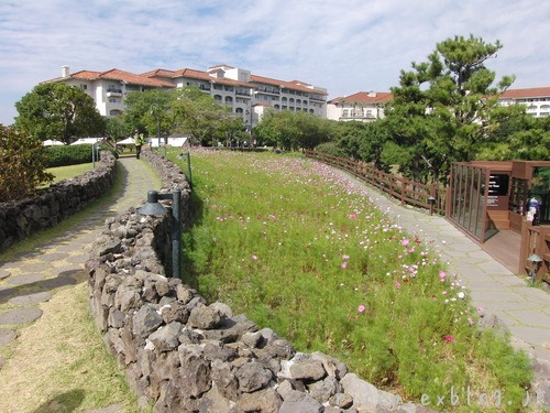 c0127366_10115280.jpg