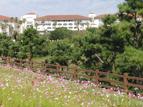 c0127366_10121055.jpg