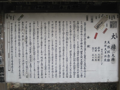 c0072068_17484846.jpg